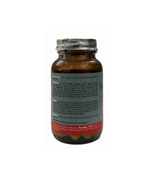 CLA CHÁ VERDE + L-CARNITINA 40 CÁPSULAS