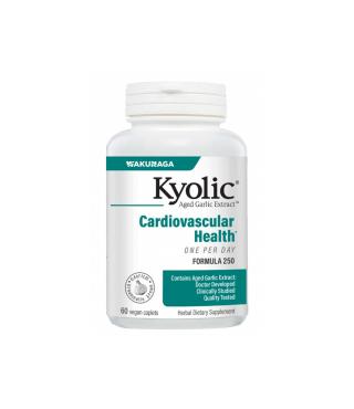 Kyolic KYOLIC ONE PER DAY 1000 MG 60 TABLETS